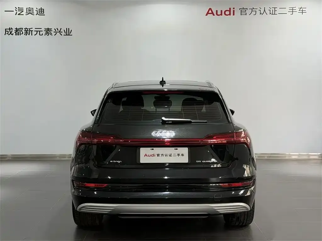 Audi e-tron (Import) — фото 5