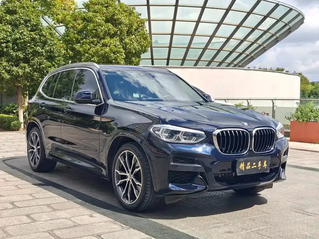 BMW X3 — фото 4