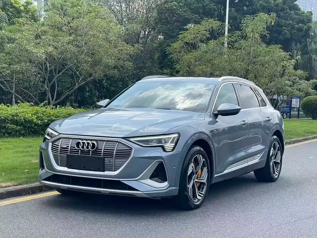 Audi e-tron — фото 1