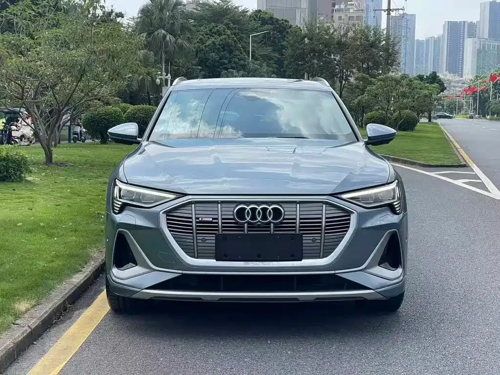 Audi e-tron — фото 6