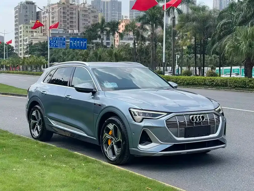 Audi e-tron — фото 10