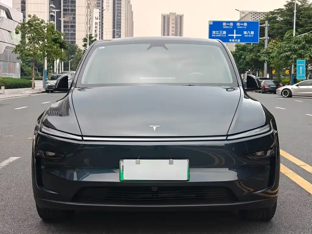 Tesla Model Y — фото 5