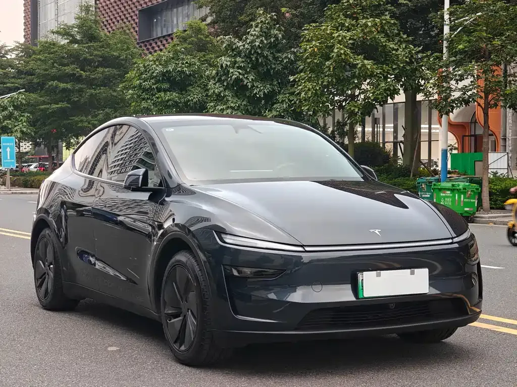 Tesla Model Y — фото 10