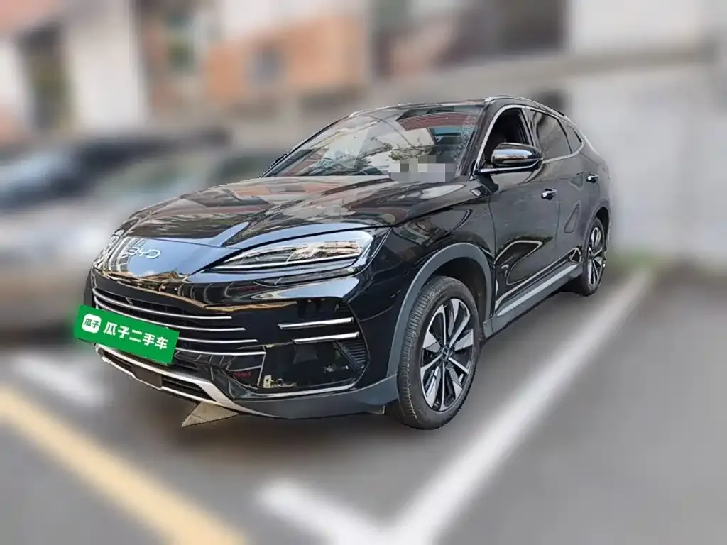 BYD PLUS New Energy — фото 1