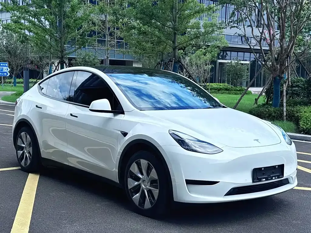 Tesla Model Y — фото 10