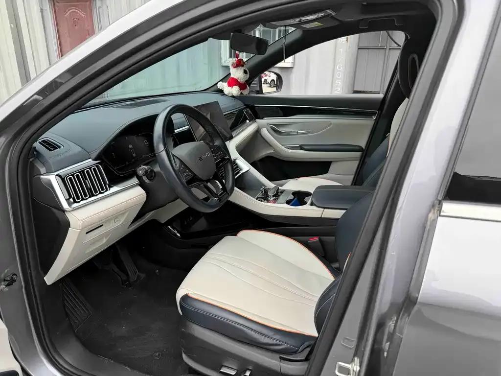 BYD PLUS New Energy — фото 2