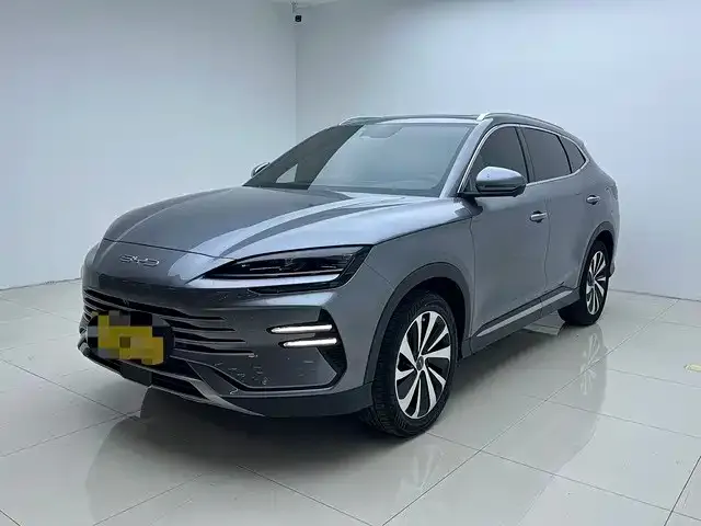 BYD PLUS New Energy — фото 1