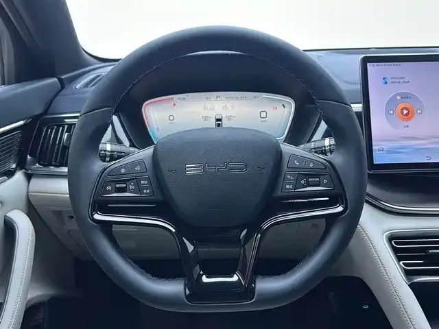 BYD PLUS New Energy — фото 10
