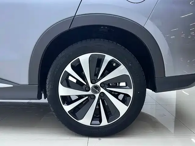 BYD PLUS New Energy — фото 6