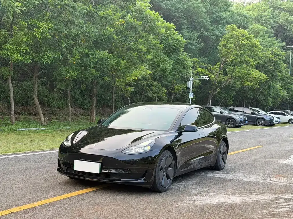 Tesla Model 3 — фото 1