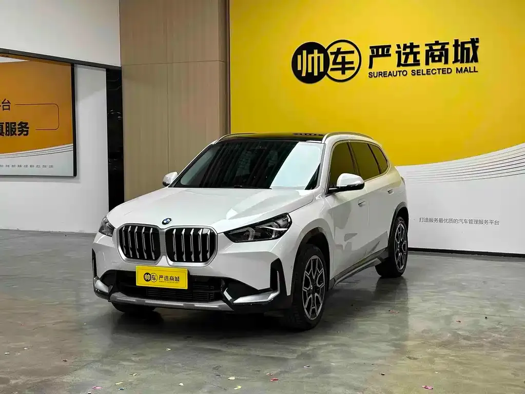 BMW X1 — фото 1