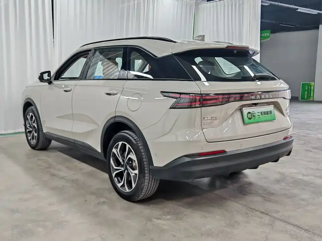 Haval Xiaolong MAX — фото 10