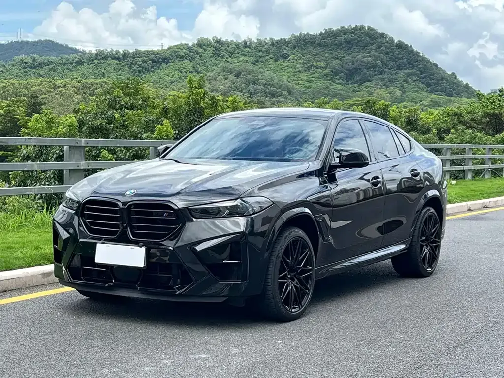 BMW X6 M — фото 1