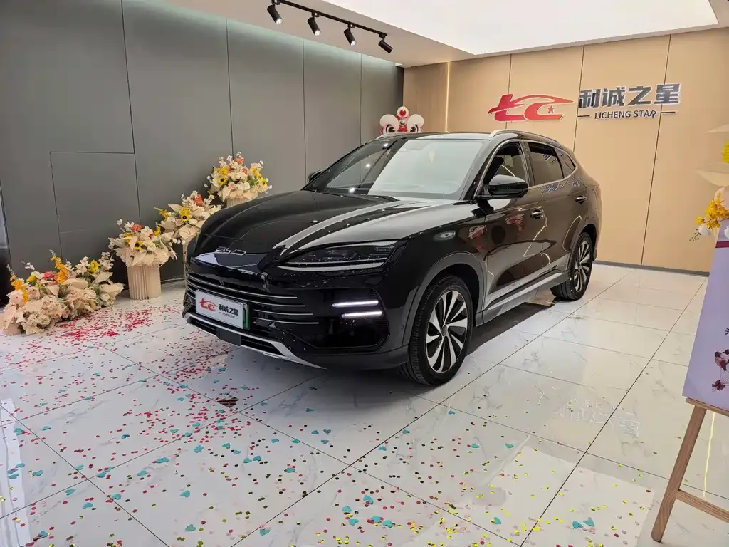 BYD PLUS New Energy — фото 1