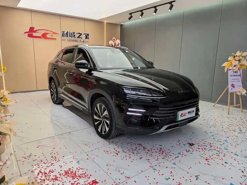BYD PLUS New Energy — фото 6