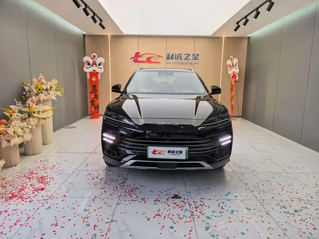 BYD PLUS New Energy — фото 7