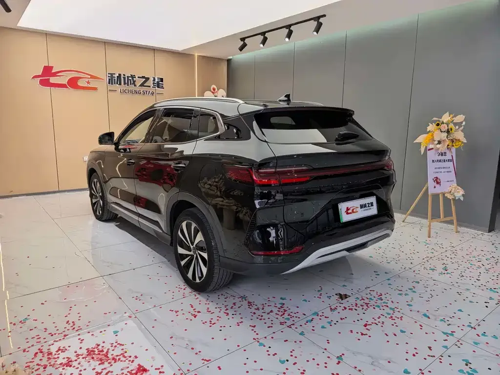BYD PLUS New Energy — фото 9