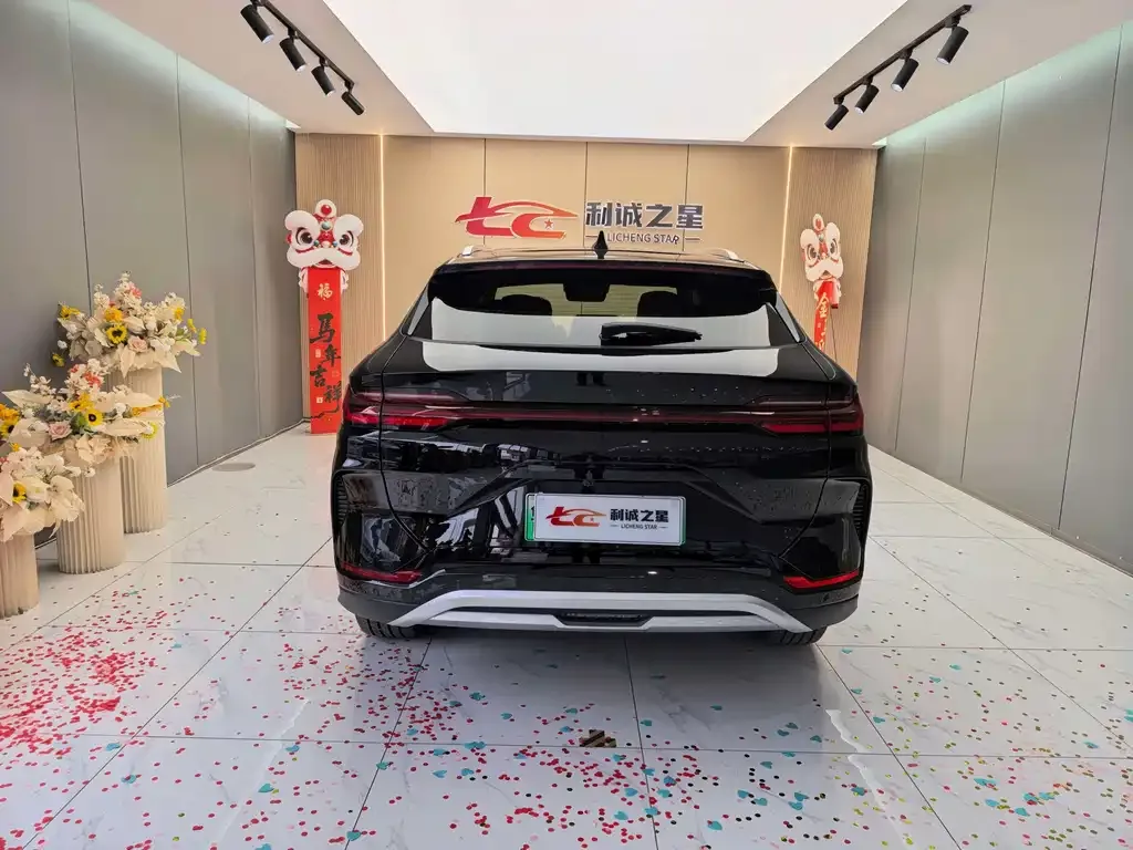 BYD PLUS New Energy — фото 8