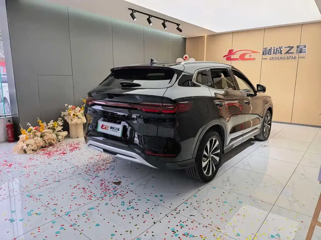 BYD PLUS New Energy — фото 4