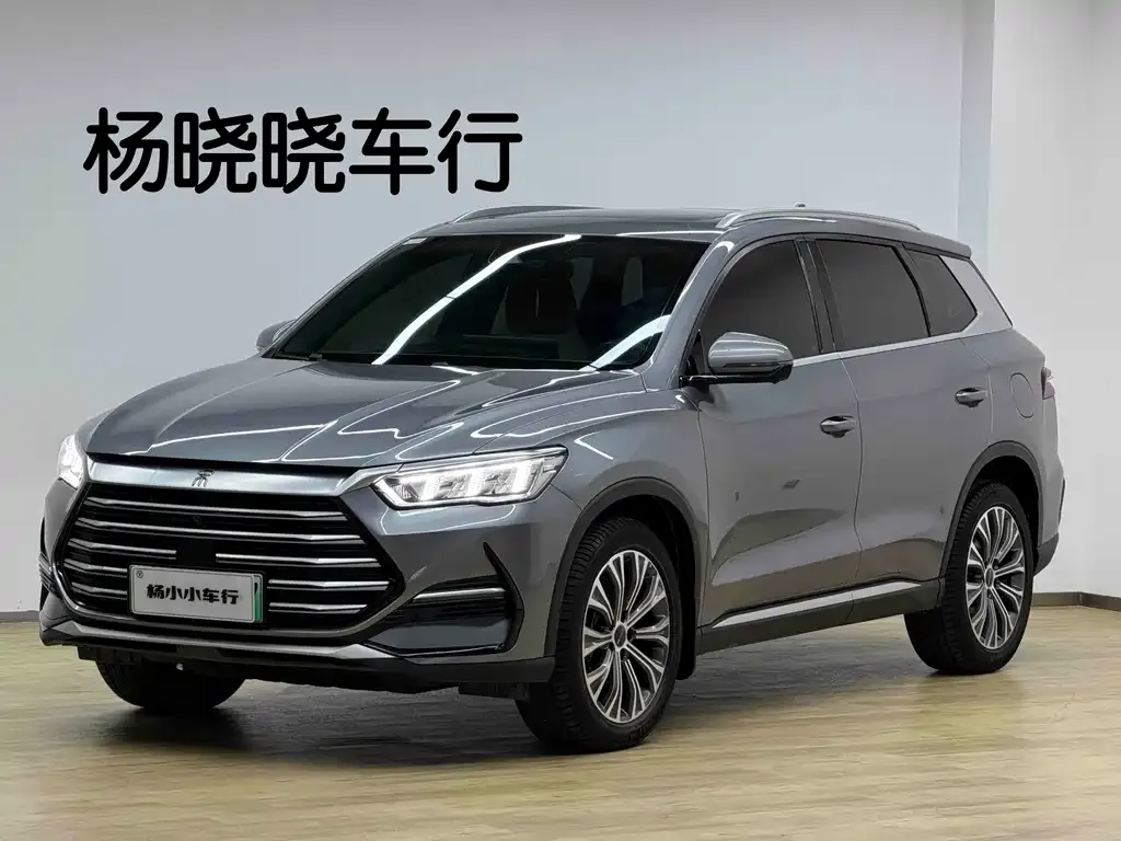 BYD Pro New Energy — фото 1