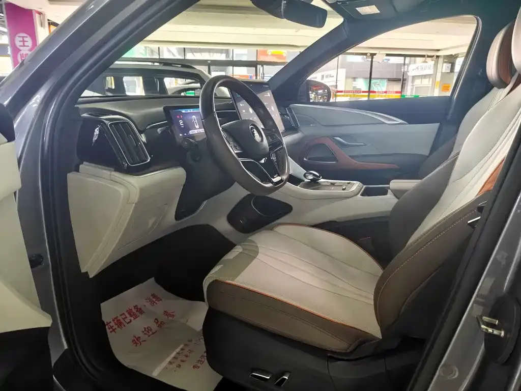 BYD Pro New Energy — фото 2