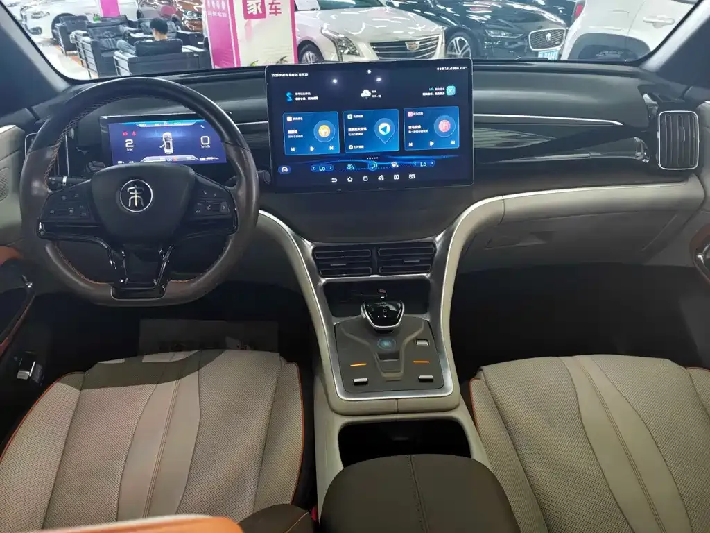 BYD Pro New Energy — фото 10