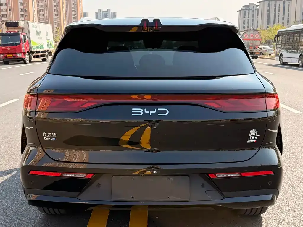 BYD Tang L — фото 3