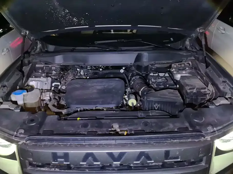 Haval Big Dog — фото 10
