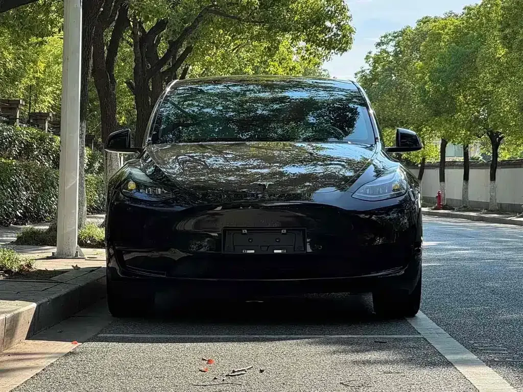 Tesla Model Y — фото 7