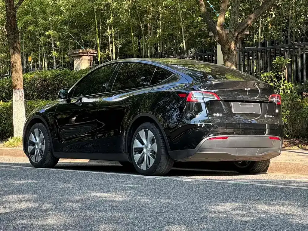 Tesla Model Y — фото 6