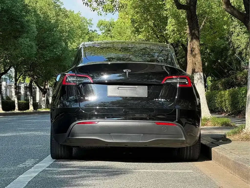 Tesla Model Y — фото 4