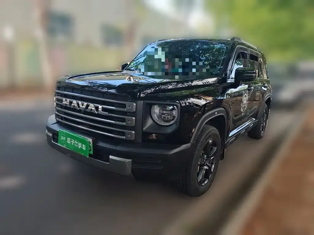 Haval Menglong New Energy — фото 1