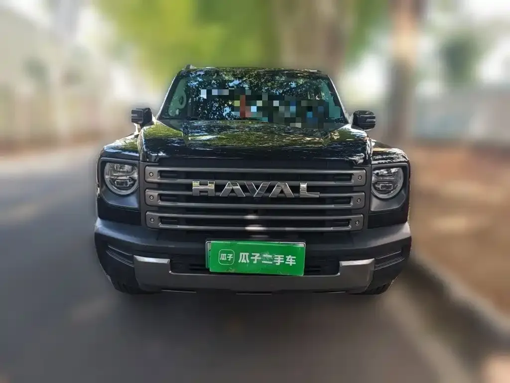 Haval Menglong New Energy — фото 8