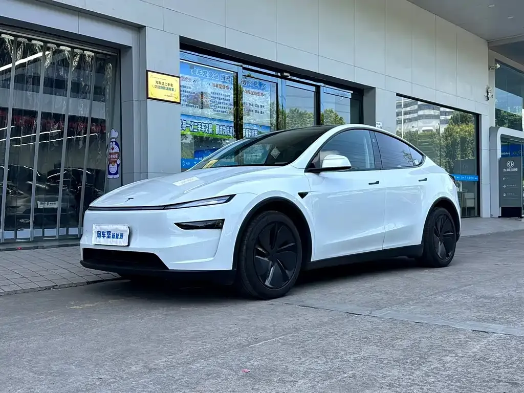 Tesla Model Y — фото 1