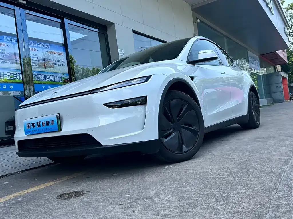 Tesla Model Y — фото 8