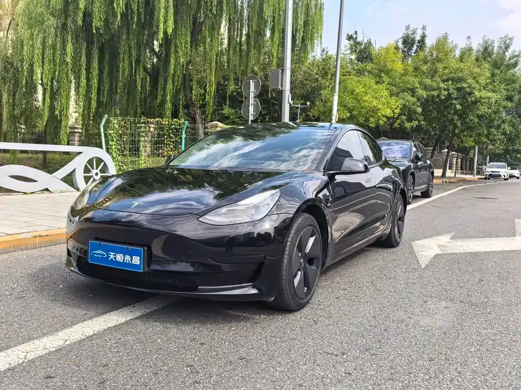Tesla Model 3 — фото 1