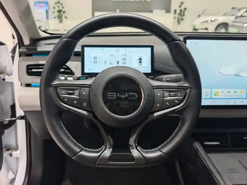 BYD Seal 06 DM-i Touring — фото 4