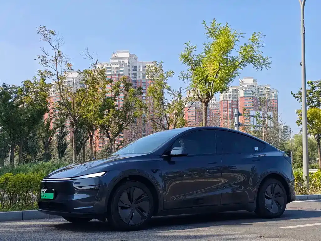 Tesla Model Y — фото 4