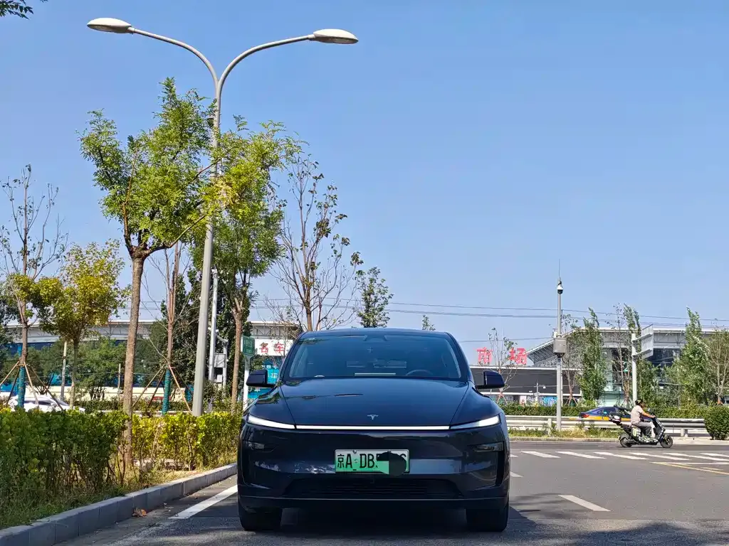 Tesla Model Y — фото 10