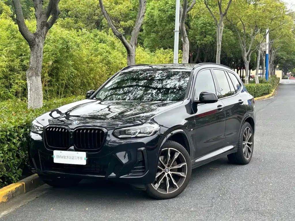 BMW X3 — фото 1
