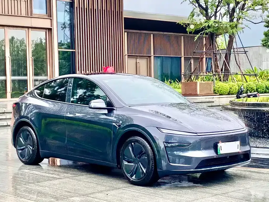 Tesla Model Y — фото 8