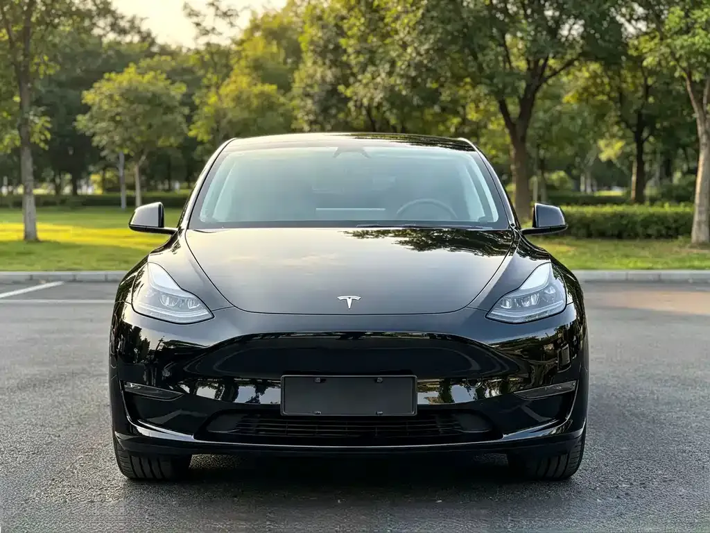 Tesla Model Y — фото 5