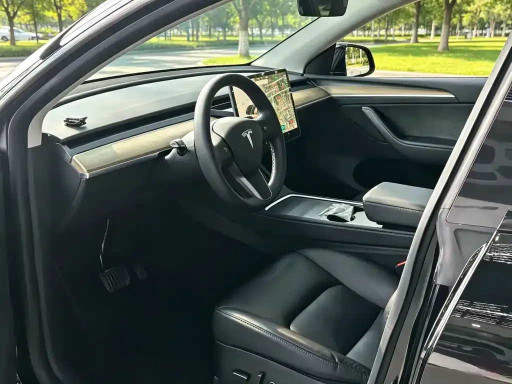 Tesla Model Y — фото 2
