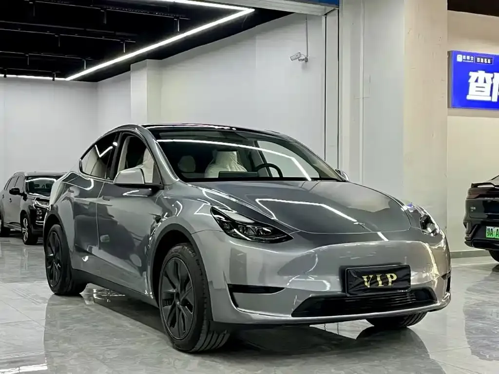 Tesla Model Y — фото 10