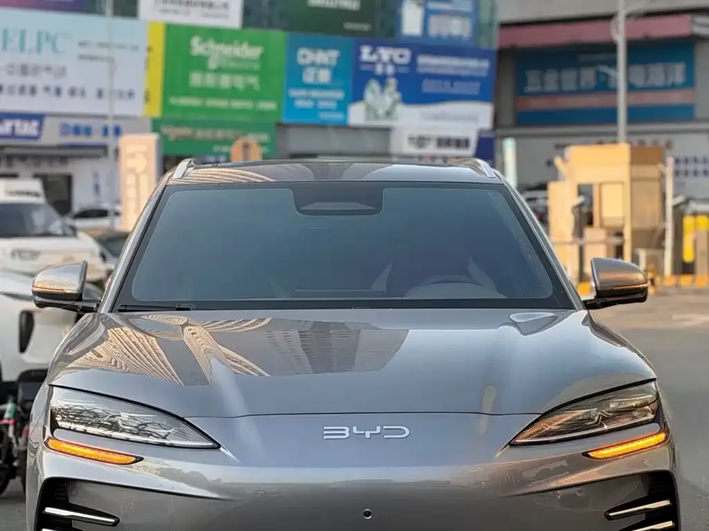 BYD PLUS New Energy — фото 3