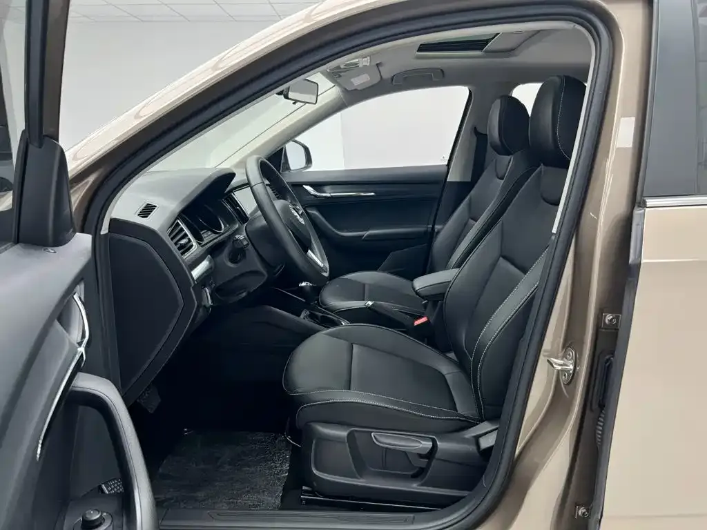 Skoda Kamiq — фото 10