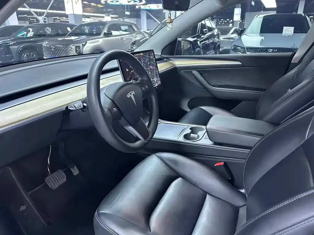 Tesla Model Y — фото 9