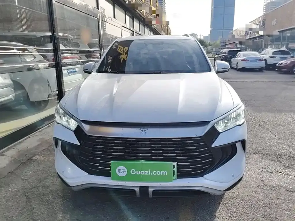 BYD Pro New Energy — фото 5