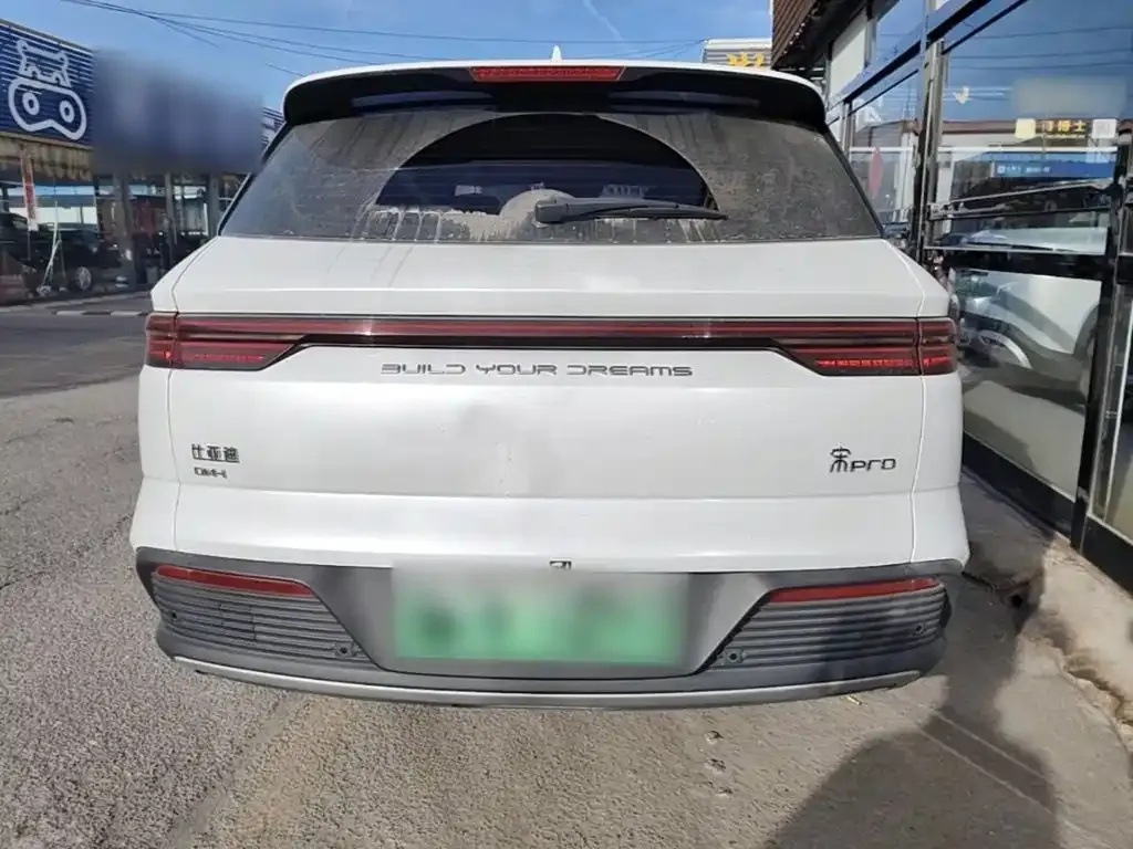 BYD Pro New Energy — фото 6