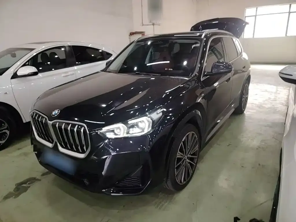 BMW X1 — фото 1